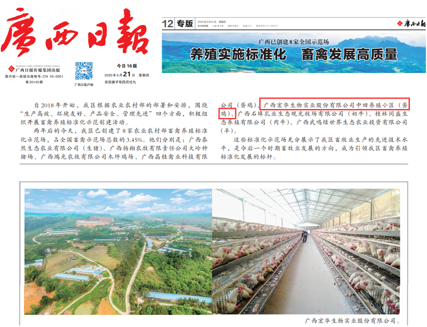 媒體報(bào)道.jpg